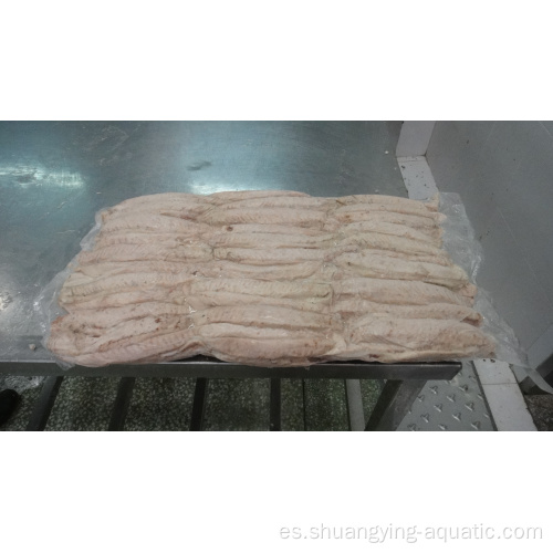 TUMA BONITO FROZEN PRERIFOGADO lomos de skipjack para exportación